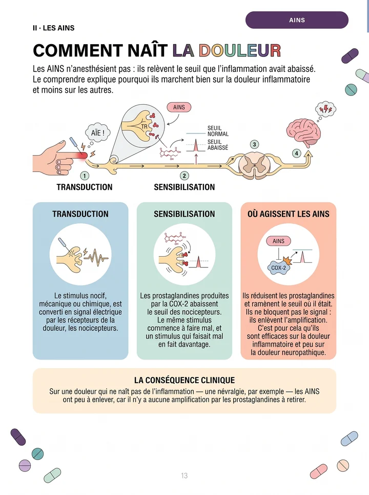 Page « Comment naît la douleur »