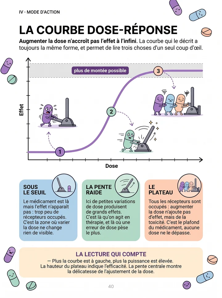 Page 40 : la courbe dose-réponse expliquée avec des illustrations