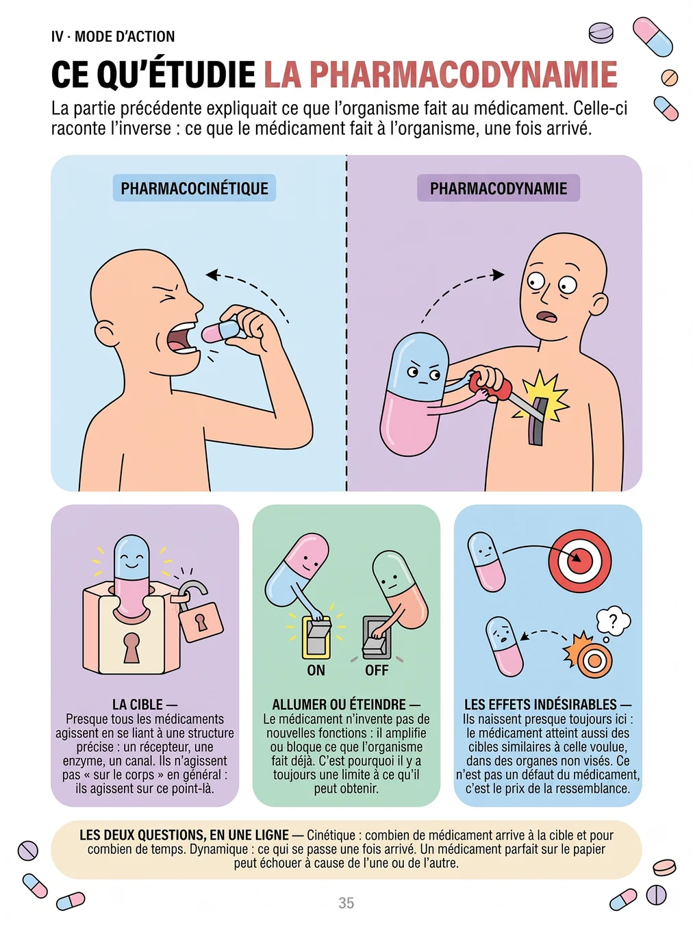 Ce qu'étudie la pharmacodynamie