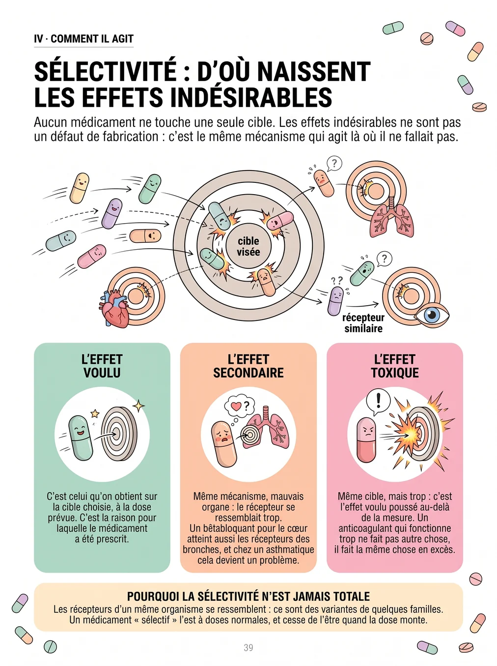 Sélectivité : d'où naissent les effets indésirables